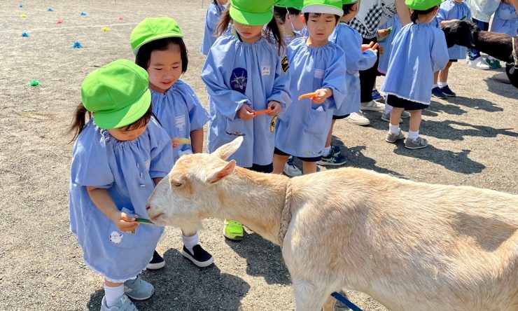 一日動物村　年少