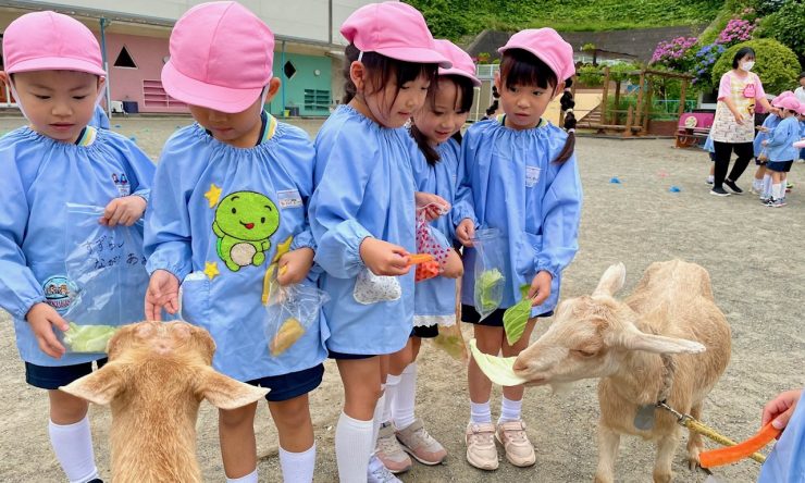 一日動物村
