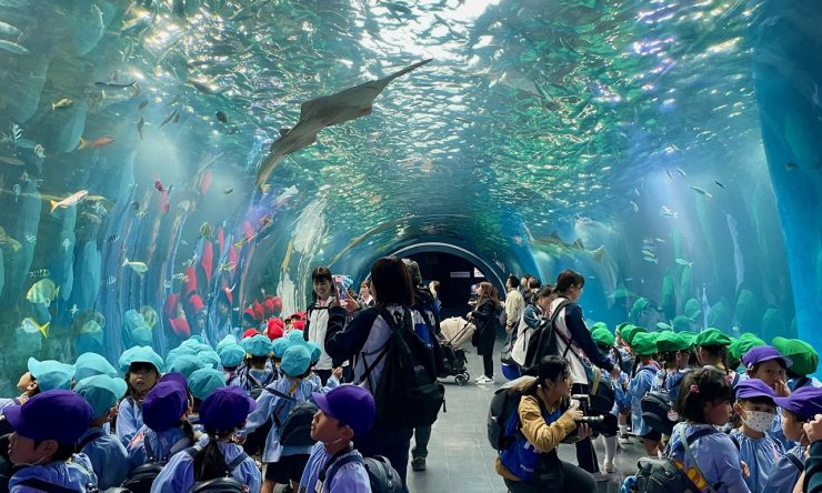 年中組　秋の遠足